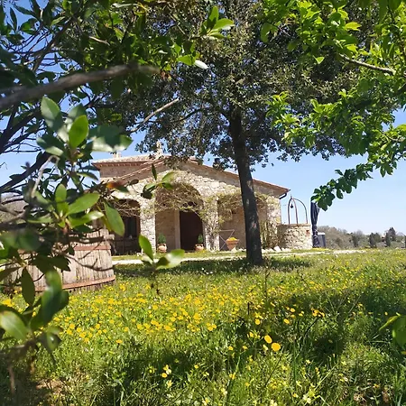 Le Streppeta Bed & Breakfast Montecchio (Terni)